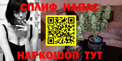 винт Будённовск
