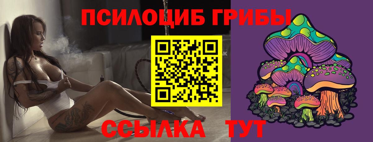 Галлюциногенные грибы мухоморы Старая Русса