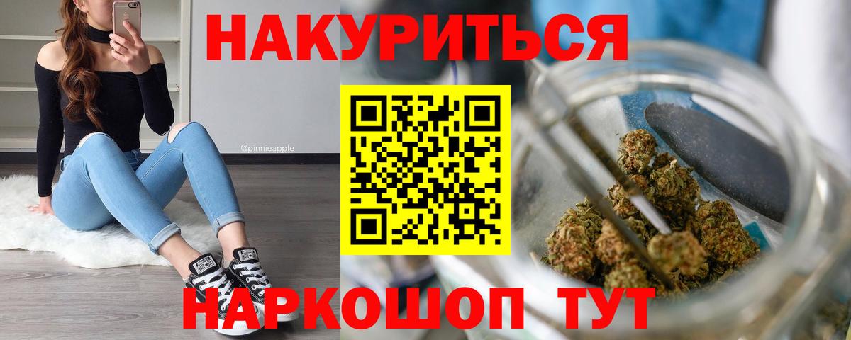 Каннабис сатива Старая Русса